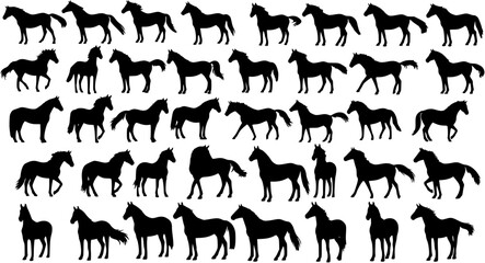 Horse silhouettes set, large pack of vector silhouette design, isolated white background
