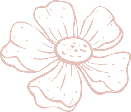 Fototapeta Stylized daisy-like flower is floating on transparent background with six pale pink line art petals