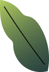 Fotobehang Abstract green leaf shape is floating in flat design with black diagonal vein on transparent canvas © vectorfusionart