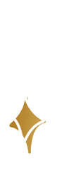 Fototapeta premium Flat sparkle shapes are floating on clear bg with 8-point stars gold-filled diamond white circle