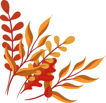 Fototapeta Displaying flat autumn leaf cluster with branches overlapping warm leaves on transparent background