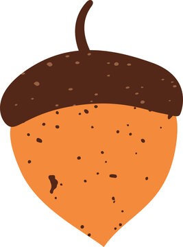 Fototapeta Stylized acorn is showing dark brown speckled cap and orange spotted nut on transparent background