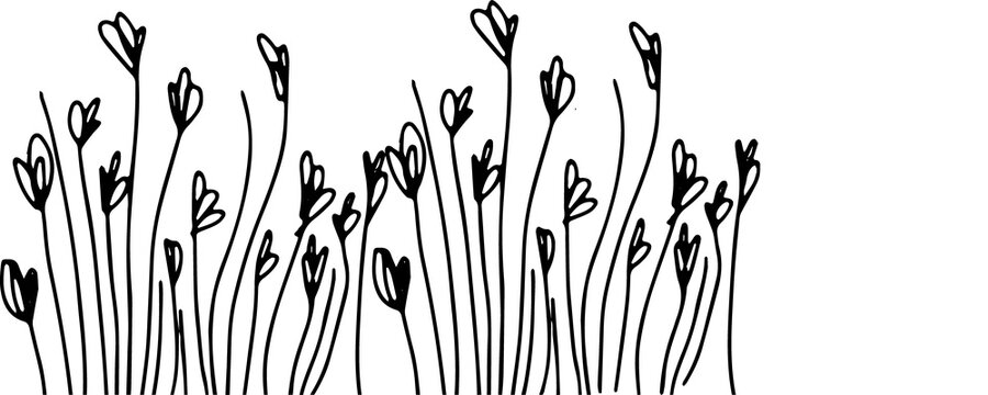 Abstract botanical motif is swaying in doodle style with heart stems on transparent background