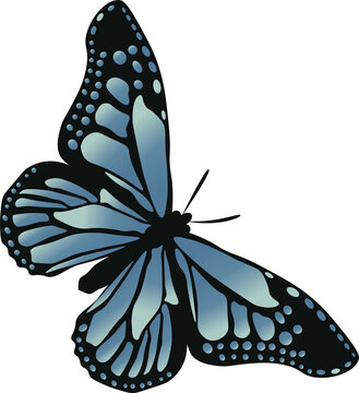 Flat design butterfly showing blue wing spots, black outlines on transparent background, copy space