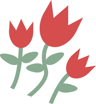 Fototapeta Three red tulip flowers are blooming on green stems and leaves, flat vector, transparent background