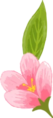 Fotobehang Showing flat design of pink five-petal bloom, yellow stamens and green leaf on transparent backdrop © vectorfusionart