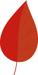 Stylized leaf is showing two-tone red orange in flat design with veins on transparent background
