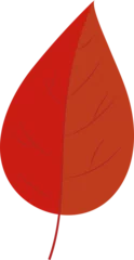 Fotobehang Stylized leaf is showing two-tone red orange in flat design with veins on transparent background © vectorfusionart