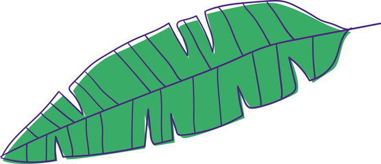 Green tropical leaf is floating on transparent background in flat design with cut edges, copy space