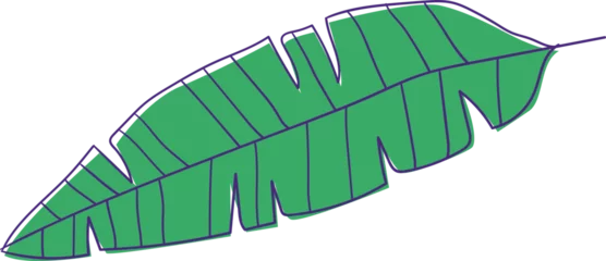 Fotobehang Green tropical leaf is floating on transparent background in flat design with cut edges, copy space © vectorfusionart