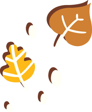 Fototapeta Autumn leaves and acorns are floating on transparent background in flat design, copy space