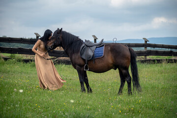 horse and foal
