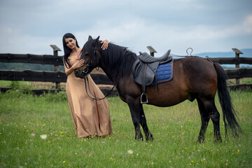 horse and rider