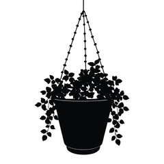 creeping fig pot hanging green decor