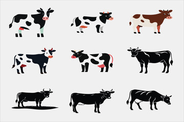 New file of some beautiful cow 