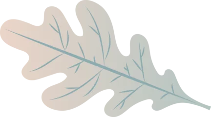 Fotobehang Stylized oak leaf flat design is blending blush into mint gradient on transparent field, copy space © vectorfusionart