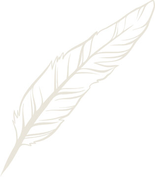 Fototapeta Stylized feather sketch is floating on transparent background, highlighting barbs and quill