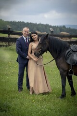 horse and rider
