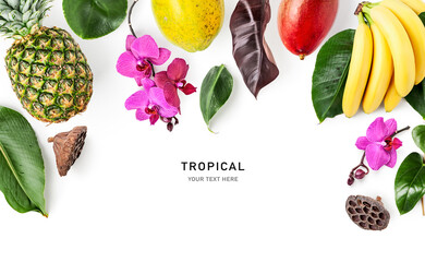 Frame with tropical fruits, flowers, leaves photography isolated on white background