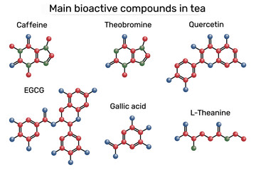 Main bioactive compounds in tea. Molecules of caffeine, theanine, EGCG, quercetin, theobromine and gallic acid.