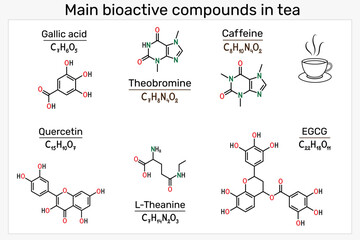Main bioactive compounds in tea. Molecules of caffeine, theanine, EGCG, quercetin, theobromine and gallic acid