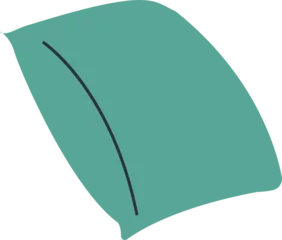 Fotobehang Stylized botanical leaf is showing central vein in flat design on transparent background © vectorfusionart