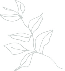 Showing minimalist continuous white line art branch with elongated leaves on transparent background