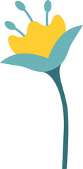 Stylized bloom is being shown in flat vector with yellow corolla teal leaves transparent background