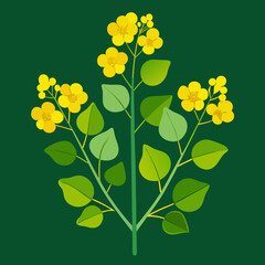 Stylized Illustration of Mustard Plant with Yellow Flowers and Green Leaves