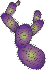 Purple pad cluster is showing yellow-green centers and black spines, flat, transparent background