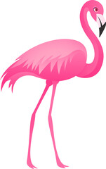 Stylized flamingo is standing in profile with curved neck and slender legs, transparent background