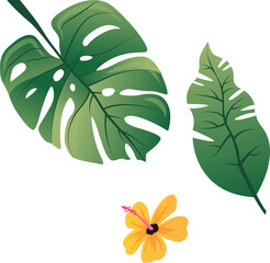 Showing flat art of perforated and veined leaves, yellow hibiscus on transparent canvas, copy space