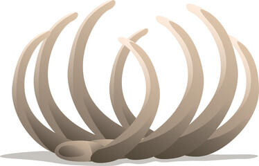 Abstract 3D-rendered beige curved petals are radiating from oval base on transparent background