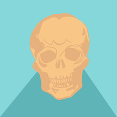 Stylized human skull graphic is floating on teal triangular base with transparent background