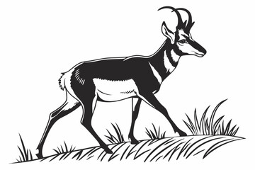 pronghorn sihouette black vector