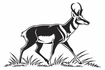pronghorn sihouette black vector