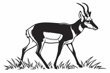 pronghorn sihouette black vector
