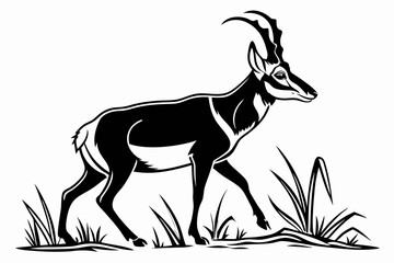 pronghorn sihouette black vector