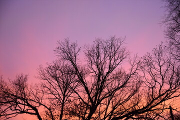 Sunsets beyond the City