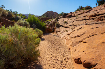 Female Hiker Beside Petrified Sand Dunes on The Wire Pass Trail, Vermillion Cliffs National Monument, Utah, USA