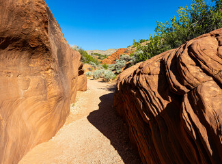 Entrance of The Wire Pass Slot Canyon, Wire Pass-Buckskin Gulch Trail , Vermillion Cliffs National Monument, Utah, USA