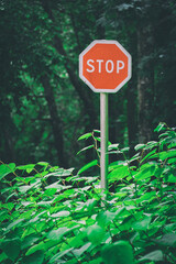Stop sign in green environment 