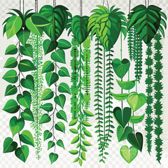 lush greenery cascading foliage