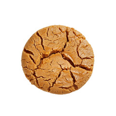 Close-up of a Single Cracked Butterscotch Cookie