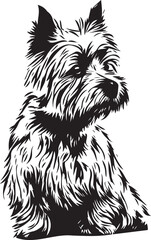 funny cairn terrier dog