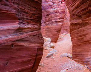 Sandstone Walls of Wire Pass Slot Canyon, Wire Pass-Buckskin Gulch Trail , Vermillion Cliffs National Monument, Utah, USA