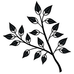 Black Ash Branch with Clusters of Dark Gray Leaves