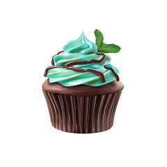 Delicious Chocolate Cupcake with Mint Frosting and Chocolate Drizzle