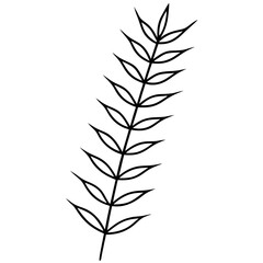 Black Line Sketch Botanical Acacia Leaves Branch line art