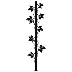 natural vine on vertical structure